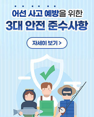 어선 사고 예방을 위한 3대 안전 준수사항 자세히보기