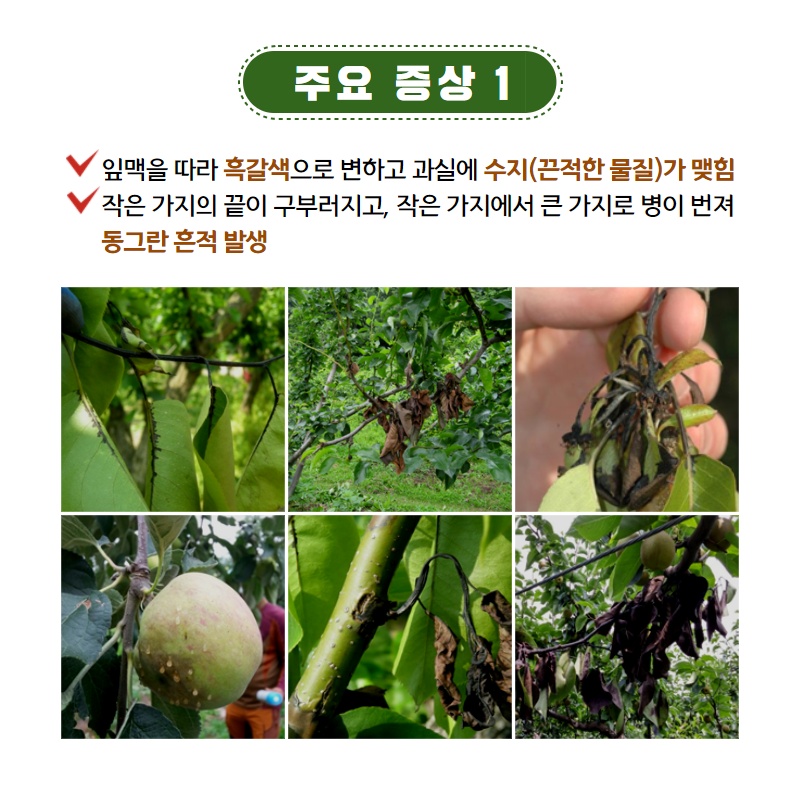 과수화상병 예방