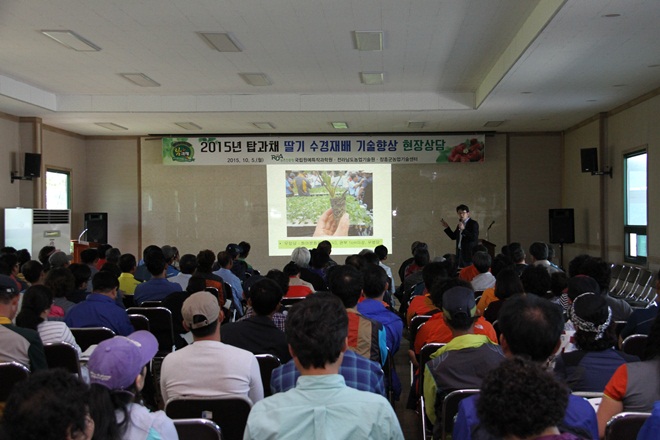 장흥군 탑과채 딸기 수경재배 기술 현장상담 