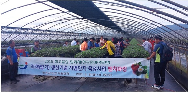 장흥군, 탑과채 딸기시범단지 현장 벤치마킹 교육