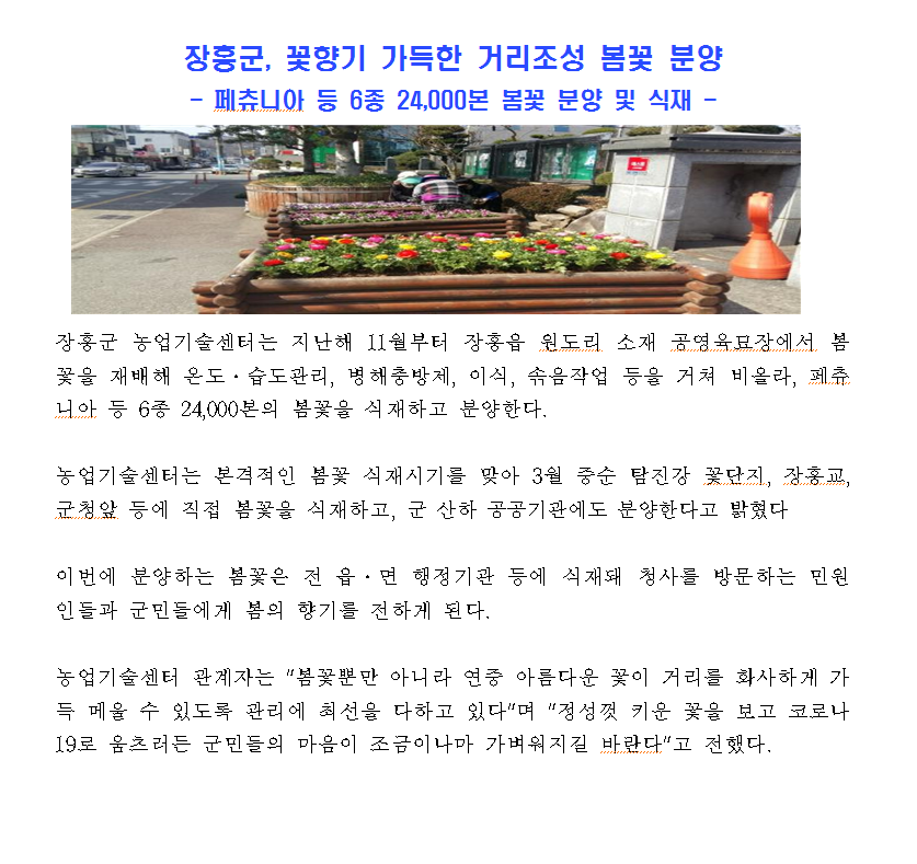 2020년도 장흥군, 꽃향기 가득한 거리조성 봄꽃 분양