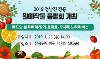 2019 정남진 장흥 원예작물 품평회 개최, 레드향·블루베리·딸기·토마토·참다래·느타리버섯, 일시:2019. 1. 23.(수) 14:00, 장소:장흥군민회관 대회의실(3층)