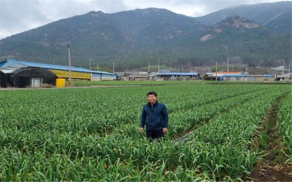 장흥군은 지역 마늘 주산지인 관산읍에서 마늘 재배농가와 관심 농가를 대상으로 고품질 마늘 재배 교육을 실시하였다.